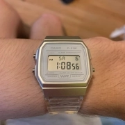 ساعت مچی کاسیو مدل CASIO-F-91WS-7 1
